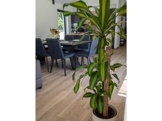 Casa per le vacanze Pula Caratteristiche 23