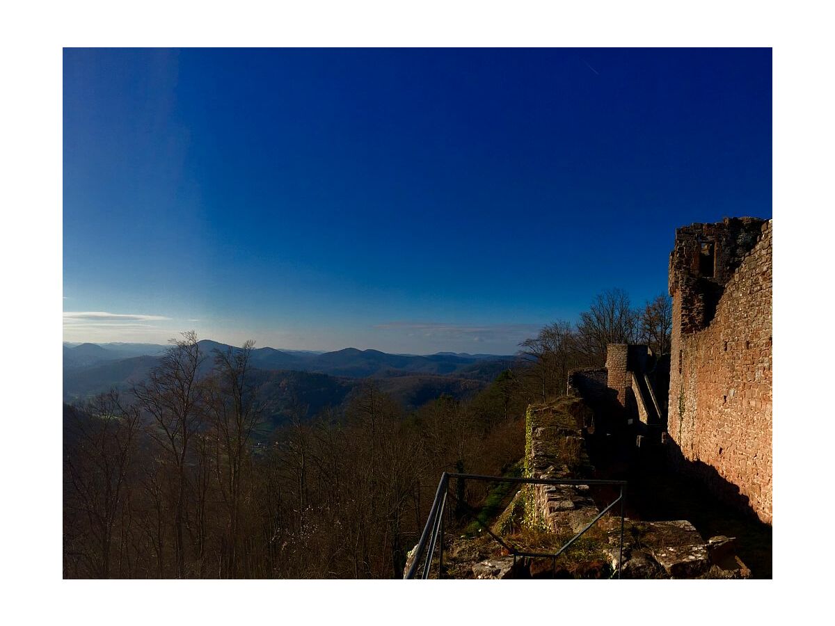 Burg Neuscharfeneck