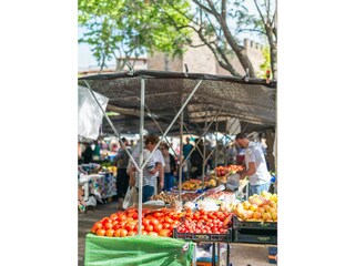 Appartamento Alcudia Ambiente 19