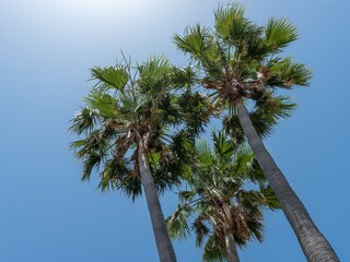 Chalet Alcudia Outdoor Recording 3