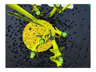 Appartamento per vacanze Andernach Registrazione all'aperto 6