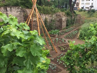 Appartamento per vacanze Andernach Ambiente 32