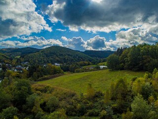Direkter Zugang zum Wald