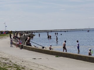 Ferienwohnung Dorum-Neufeld Umgebung 15