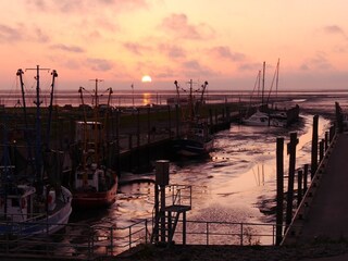 Ferienwohnung Dorum-Neufeld Umgebung 27
