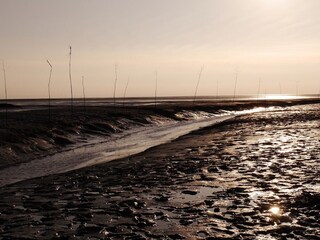 Ferienwohnung Dorum-Neufeld Umgebung 28