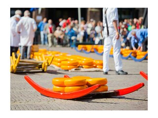 Vakantieappartement Egmond aan Zee Omgeving 31