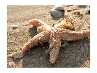 Appartamento per vacanze Egmond aan Zee Ambiente 22