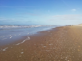 Vakantieappartement Egmond aan Zee Omgeving 21