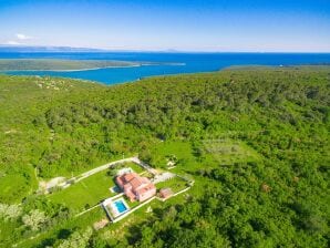 Wonderful Villa Prisedi with Private Pool - Rakalj - image1