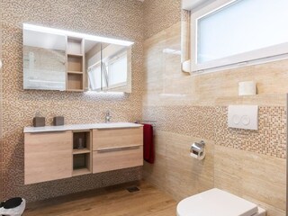 Villa Ližnjan Caratteristiche 45