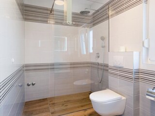 Villa Ližnjan Caratteristiche 50