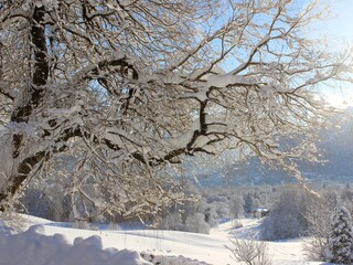 Appartamento per vacanze Bad Reichenhall Registrazione all'aperto 9