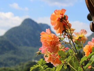 Appartamento per vacanze Bad Reichenhall Registrazione all'aperto 8