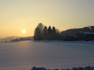 Vakantieappartement Bad Reichenhall Omgeving 29