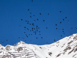 Bergblick von Terasse beim Haus
