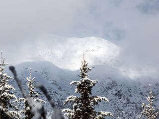Apartamento de vacaciones Innsbruck Entorno 31