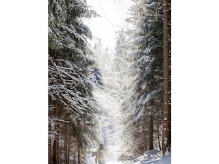 Vakantieappartement Innsbruck Omgeving 32