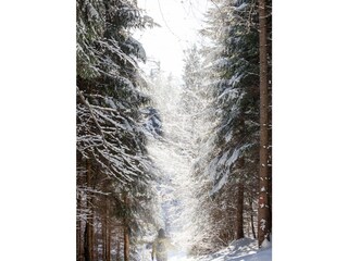 Wanderweg nahe beim Haus