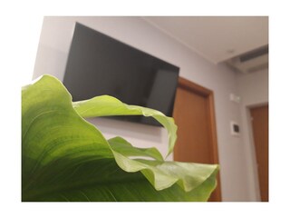 Appartamento per vacanze Brenzone sul Garda Caratteristiche 16