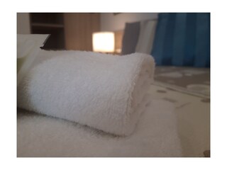 Appartamento per vacanze Brenzone sul Garda Caratteristiche 18