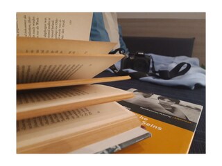 Appartamento per vacanze Brenzone sul Garda Caratteristiche 21