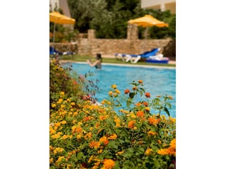 Blue Dream Executive Villa