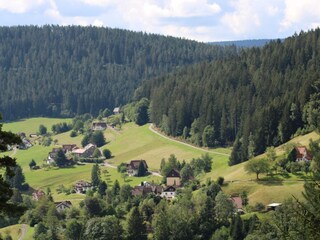 Appartamento per vacanze Ettmannsweiler Ambiente 29