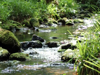 Appartamento per vacanze Ettmannsweiler Ambiente 33