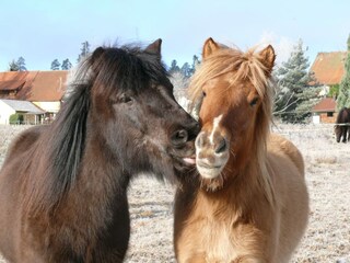 Appartamento per vacanze Ettmannsweiler Registrazione all'aperto 12