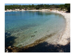 Natural Park Beach Polje