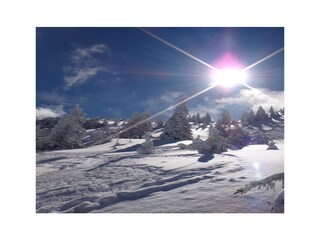 Apartamento de vacaciones Kirchberg in Tirol Entorno 9
