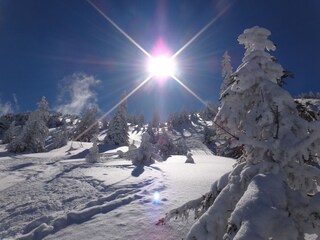 Appartamento Kitzbühel Ambiente 23