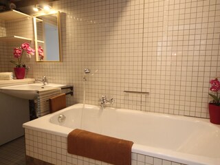 Apartamento Kitzbühel Características 6
