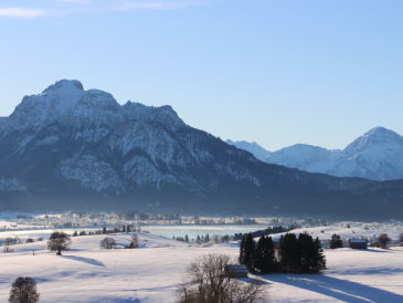 Biohof Wohlfühl-Ferienwohnung am Berg - Stögerhof