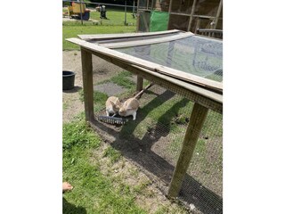 Bungalow Andijk Ambiente 36