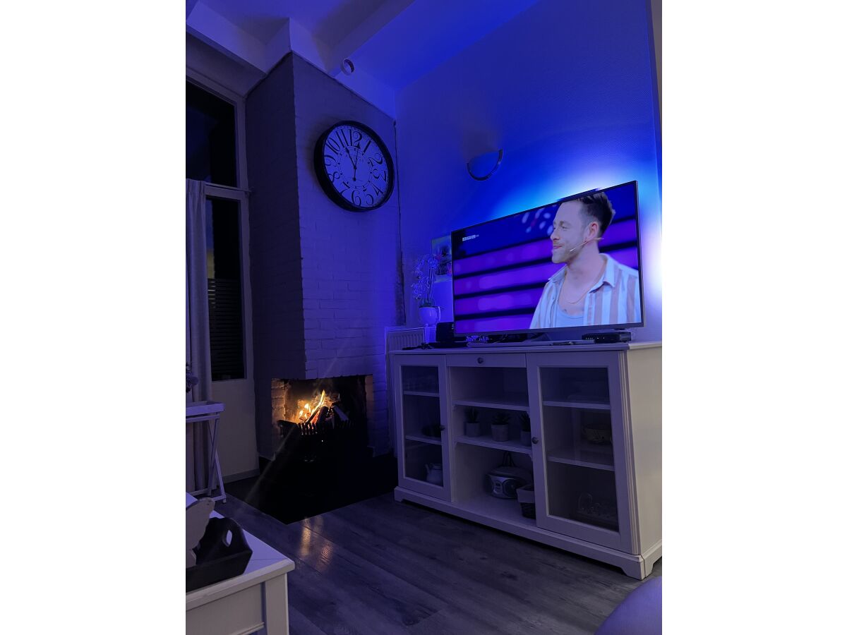 Wohnzimmer / Kamin2