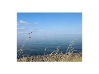 Bungalow Andijk Ambiente 25