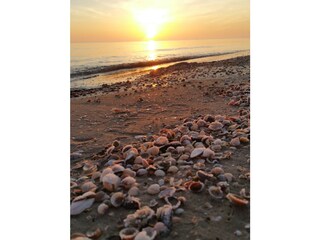 Vakantiehuis Karlshagen Omgeving 29