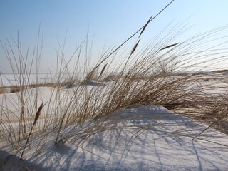 Vakantiehuis Karlshagen Omgeving 32