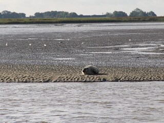 Appartamento per vacanze Geversdorf Ambiente 19