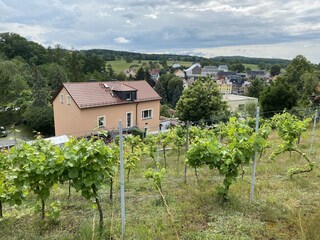 Haus und Grundstück