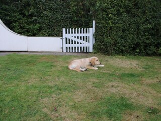 Vakantiehuis Brouwershaven Buitenaudio-opname 3