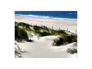 Casa per le vacanze Julianadorp Ambiente 28