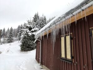 Ferienhaus Aschberghaisl 7 Personen - Klingenthal - image1