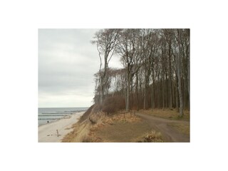 Gespensterwald