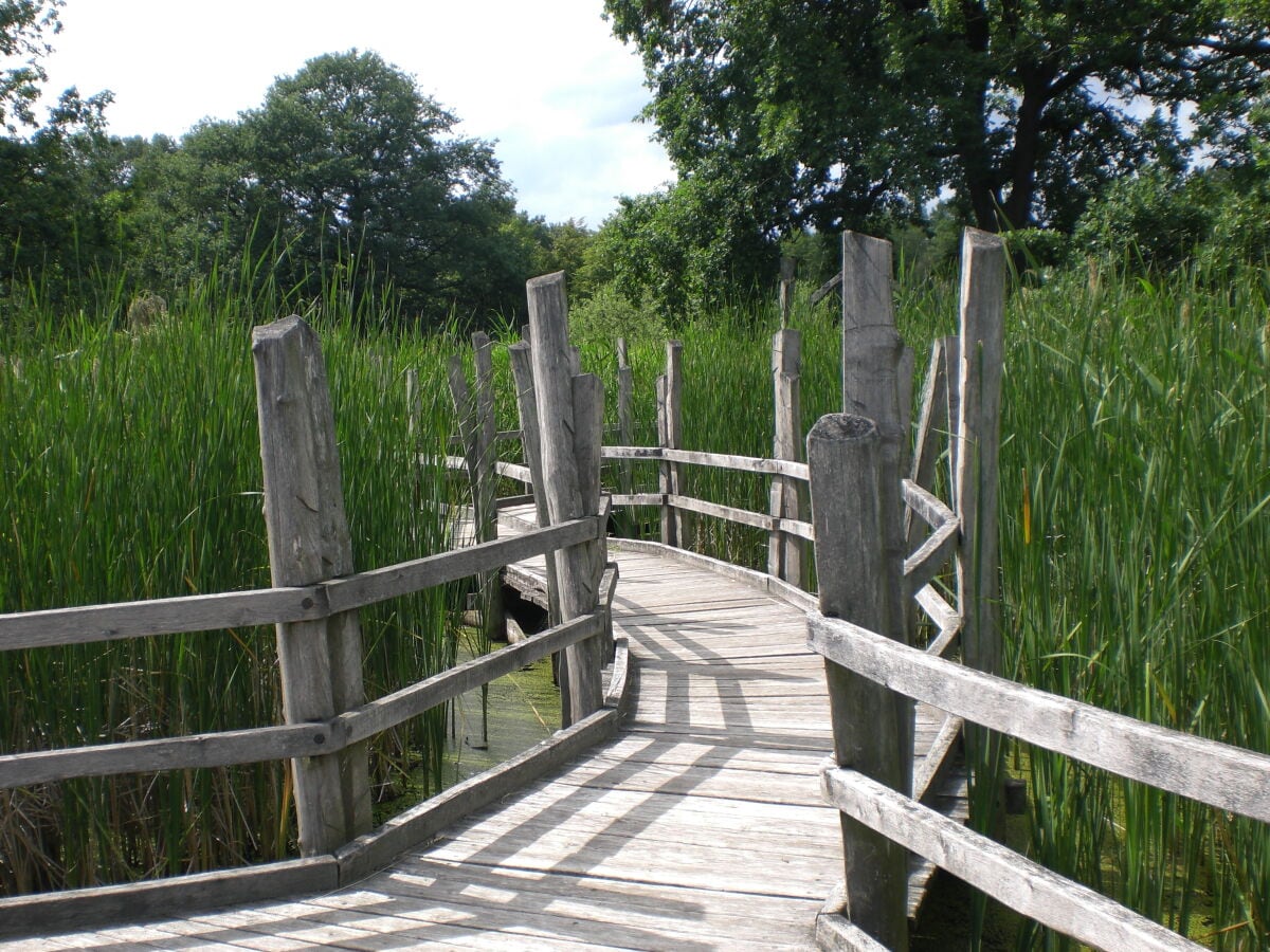 Heide- und Teichlandschaft