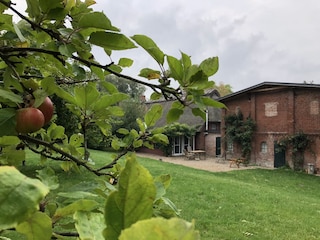 Apfelbäume im Herbst im großen Garten