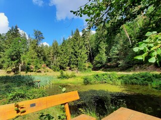 Ferienwohnung Lambrecht Umgebung 32