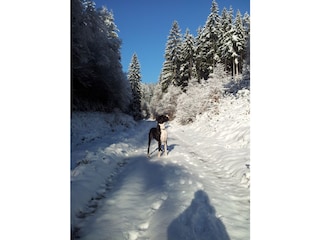 Auch im Winter ist es bei uns sehr schön.